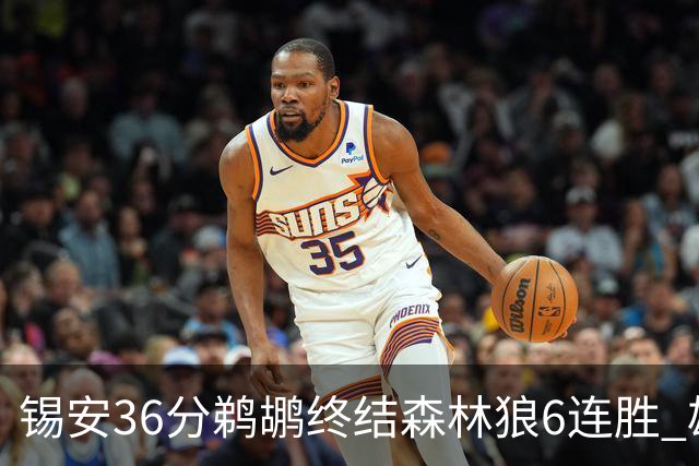 锡安36分鹈鹕终结森林狼6连胜 雄鹿险胜公牛